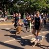 Abril Laranja: Ações de conscientização contra maus-tratos a animais chegam a Bodoquena e Corumbá