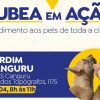 Ação Itinerante da Subea leva atendimento veterinário gratuito ao Jardim Canguru nesta terça-feira (23)