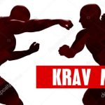 🚨 VOCÊ SABERIA SE DEFENDER HOJE? 😳Krav Maga