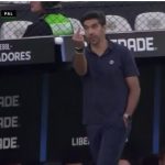 Conmebol abre processo disciplinar contra Abel por mostrar dedo do meio a Flaco em gol do Palmeiras