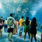Bioparque Pantanal se prepara para sediar evento nacional de zoológicos e aquários
