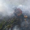 Decreto de emergência ambiental reforça preparação do Governo de MS para enfrentamento a incêndios florestais