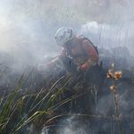 Decreto de emergência ambiental reforça preparação do Governo de MS para enfrentamento a incêndios florestais
