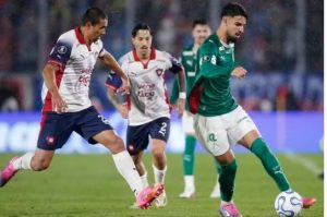 Palmeiras Contato