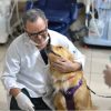 Alfredinho e outros cães espalham alegria durante visita ao Hospital Cassems de Dourados