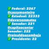 Nikolas Ferreira declara apoio a Reinaldo Azambuja para o Senado em MS