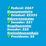 Nikolas Ferreira declara apoio a Reinaldo Azambuja para o Senado em MS