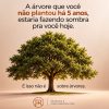 O que você começar a construir hoje pode transformar completamente a sua realidade em um futuro próximo.